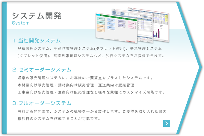 システム開発